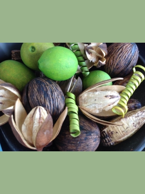 Nag champa potpourri